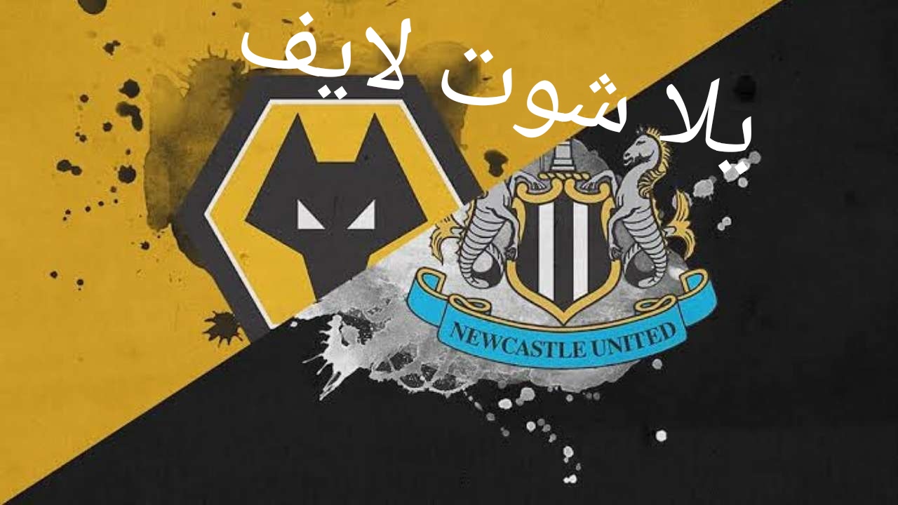 موعد مباراة نيوكاسل يونايتد أمام وولفرهامبتون